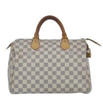 LV Speedy 30 Damier Azur