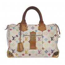 LV Speedy 30 Multicolor