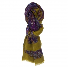 Etro Pañuelo Cashmere Verde